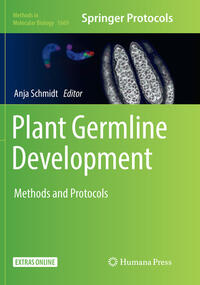 Vorderes Coverbild Plant Germline Development