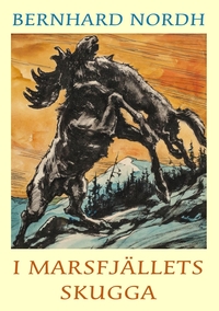 Vorderes Coverbild I Marsfjällets skugga