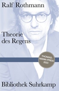 Vorderes Coverbild Theorie des Regens