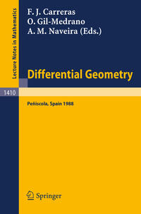 Vorderes Coverbild Differential Geometry