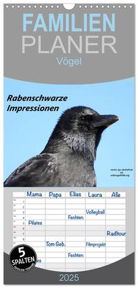 Vorderes Coverbild Familienplaner 2025 - Rabenschwarze Impressionen - meike-ajo-dettlaff.de via wildvogelhlfe.org mit 5 Spalten (Wandkalender, 21 x 45 cm) CALVENDO