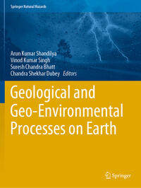 Vorderes Coverbild Geological and Geo-Environmental Processes on Earth