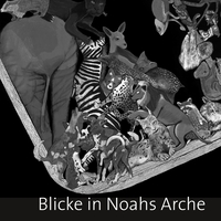 Vorderes Coverbild Blicke in Noahs Arche
