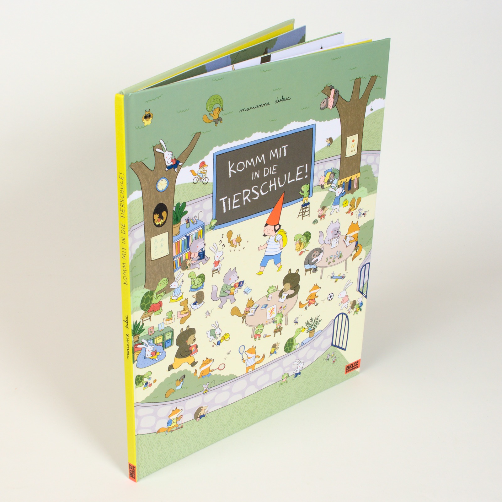 Anderes Coverbild Komm mit in die Tierschule!
