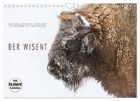 Vorderes Coverbild Emotionale Momente: Der Wisent. (Wandkalender 2025 DIN A4 quer), CALVENDO Monatskalender