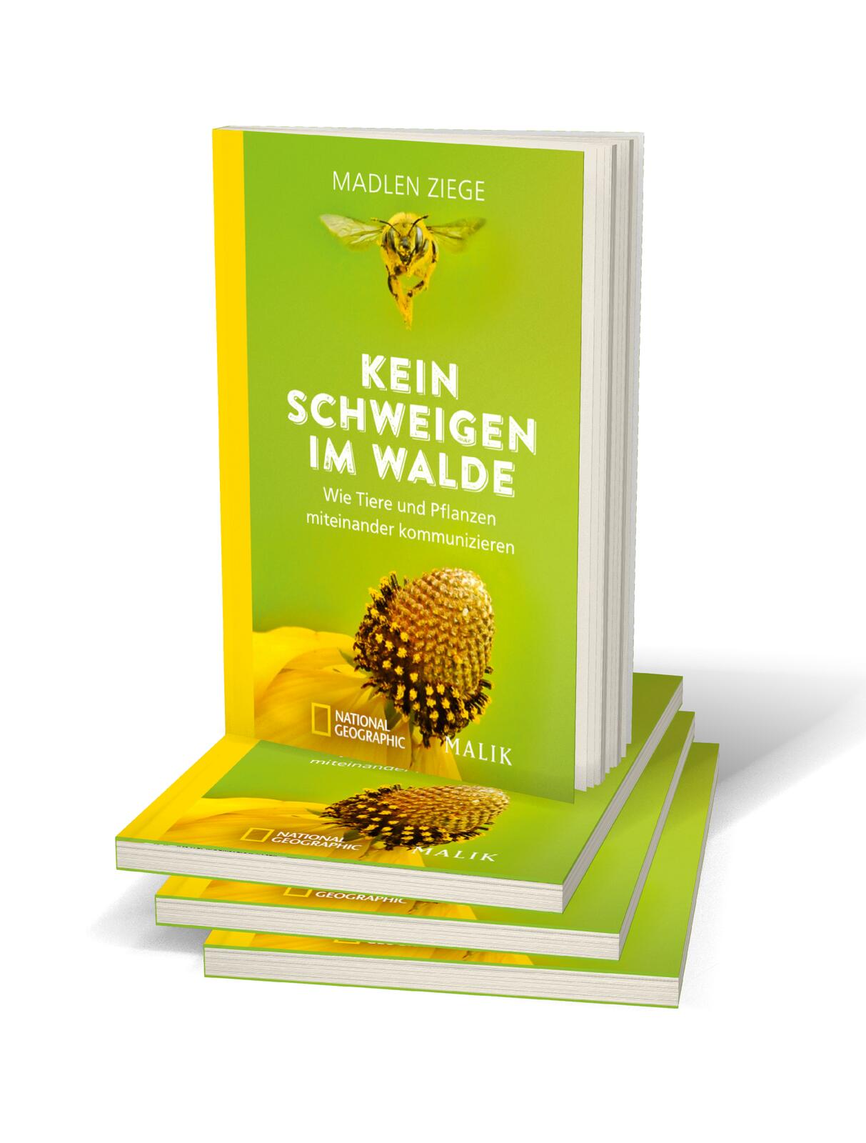 Beispielinhalt (Bild) Kein Schweigen im Walde