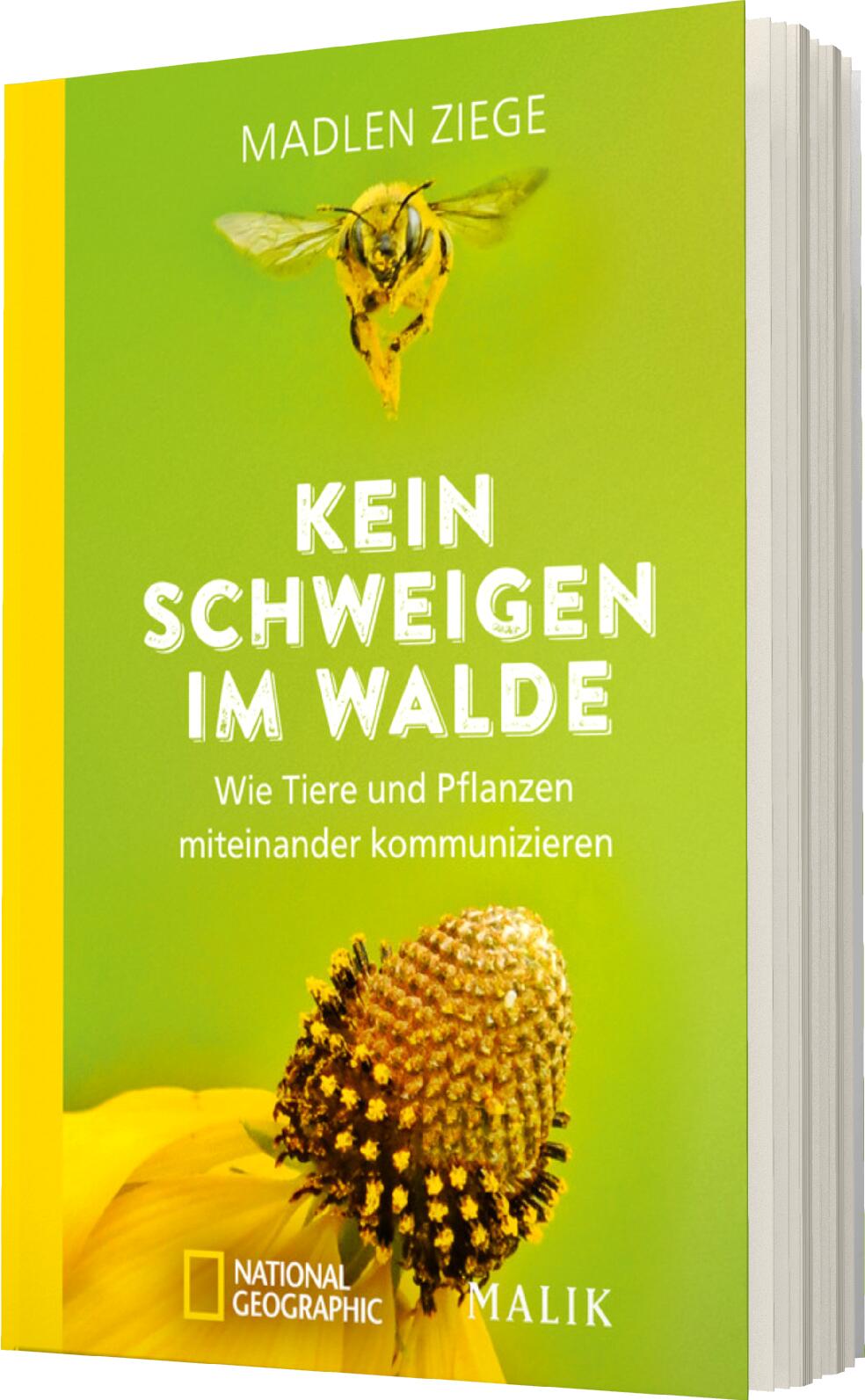 Anderes Coverbild Kein Schweigen im Walde
