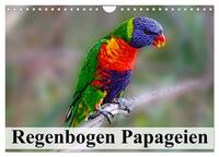 Vorderes Coverbild Regenbogen Papageien (Wandkalender 2025 DIN A4 quer), CALVENDO Monatskalender