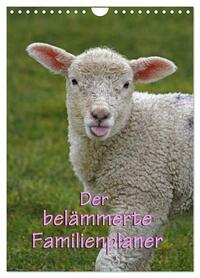 Vorderes Coverbild Der belämmerte Familienplaner (Wandkalender 2026 DIN A4 hoch), CALVENDO Monatskalender