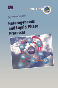 Vorderes Coverbild Heterogeneous and Liquid Phase Processes