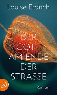 Vorderes Coverbild Der Gott am Ende der Straße