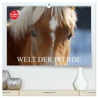 Vorderes Coverbild Welt der Pferde (hochwertiger Premium Wandkalender 2025 DIN A2 quer), Kunstdruck in Hochglanz