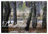 Vorderes Coverbild Der Loben. Im Reich der Moorgeister und Kreuzottern- Südbrandenburgs letztes großes Moor (Wandkalender 2025 DIN A3 quer), CALVENDO Monatskalender