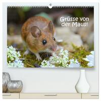 Vorderes Coverbild Grüsse von der Maus! (hochwertiger Premium Wandkalender 2025 DIN A2 quer), Kunstdruck in Hochglanz
