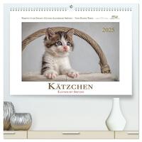 Vorderes Coverbild Kätzchen-Kalender mit Sprüchen (hochwertiger Premium Wandkalender 2025 DIN A2 quer), Kunstdruck in Hochglanz