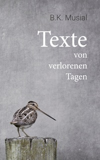 Vorderes Coverbild Texte von verlorenen Tagen