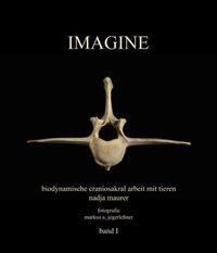 Vorderes Coverbild IMAGINE band 1