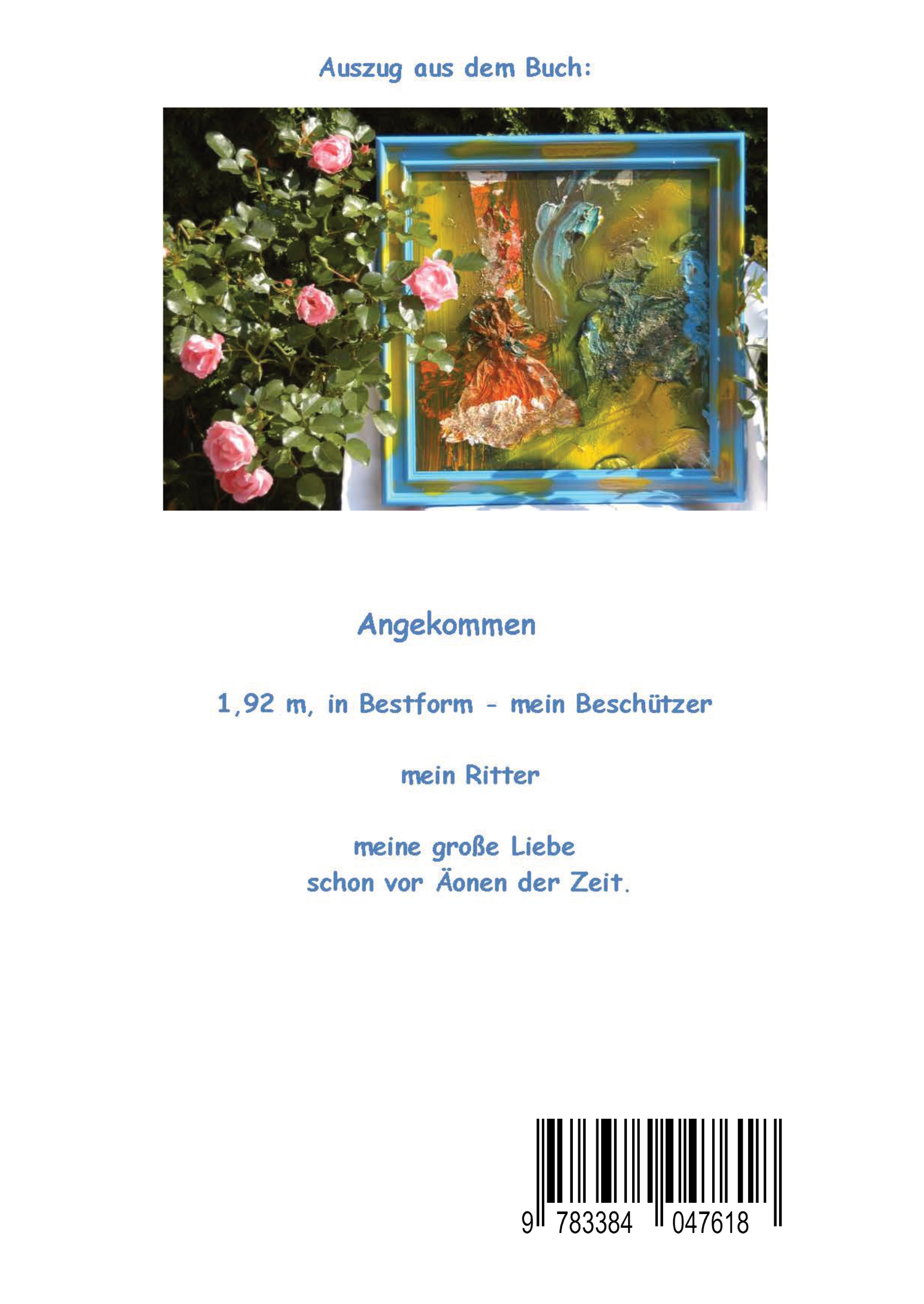Rückseitencover Der Seelenzwiling