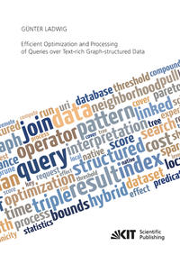 Vorderes Coverbild Efficient Optimization and Processing of Queries over Text-rich Graph-structured Data