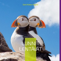 Vorderes Coverbild Lunnit Lentävät