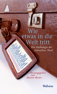 Vorderes Coverbild Wie etwas in die Welt tritt