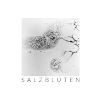 Vorderes Coverbild Salzblüten