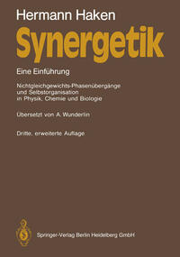 Vorderes Coverbild Synergetik