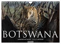 Vorderes Coverbild Botswana – Landschaft und Tierwelt (Wandkalender 2025 DIN A4 quer), CALVENDO Monatskalender