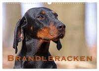 Vorderes Coverbild Brandlbracken (Wandkalender 2025 DIN A3 quer), CALVENDO Monatskalender