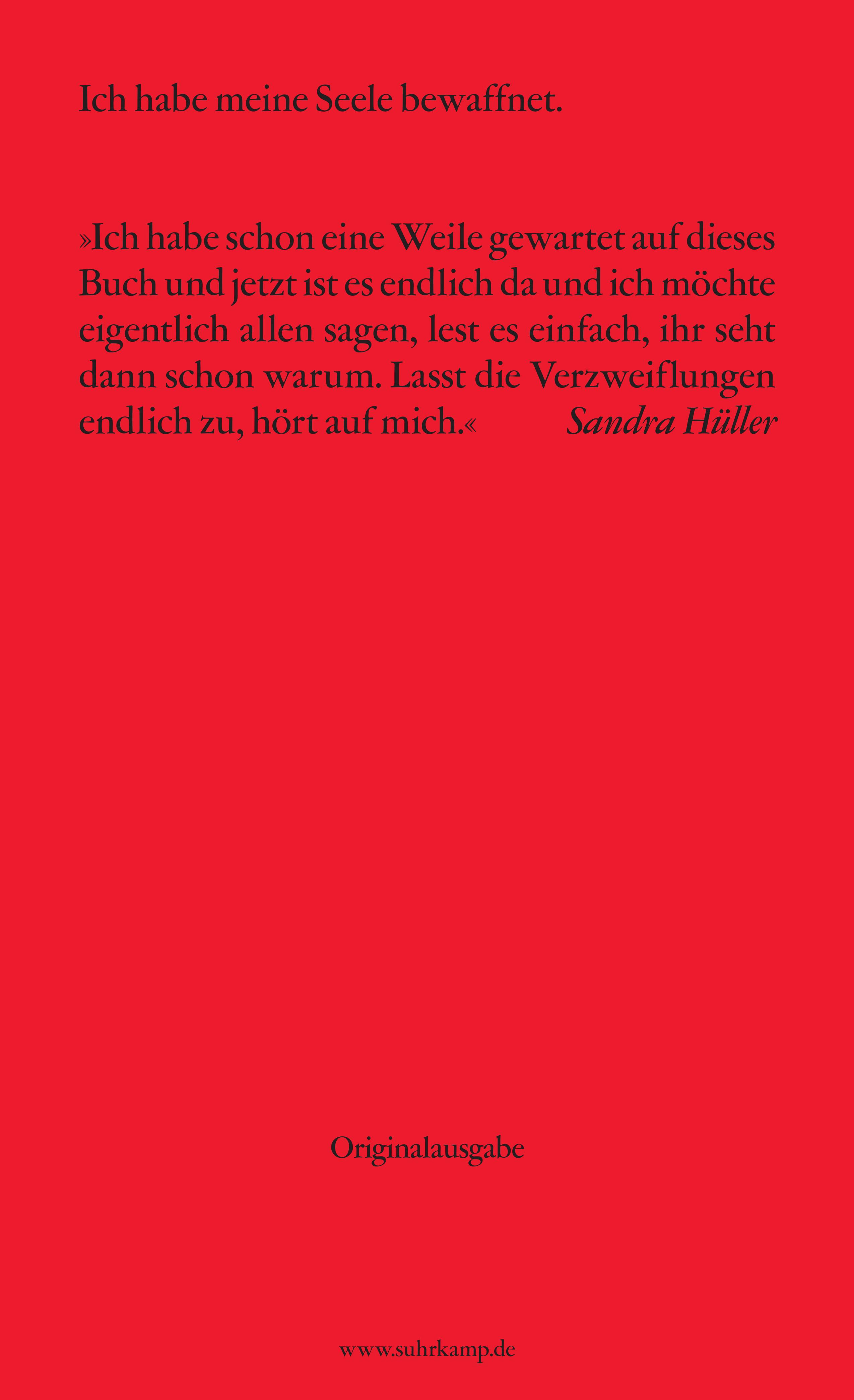 Rückseitencover Verzweiflungen