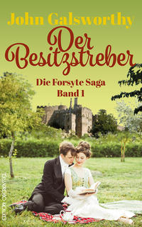 Vorderes Coverbild Der Besitzstreber