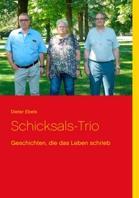 Vorderes Coverbild Schicksals-Trio