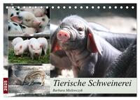 Vorderes Coverbild Tierische Schweinerei (Tischkalender 2025 DIN A5 quer), CALVENDO Monatskalender