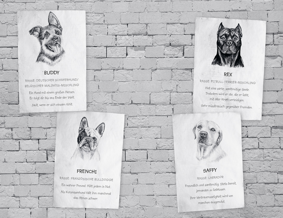 Beispielinhalt (Bild) Buddy – Mein Leben als Straßenhund