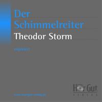 Vorderes Coverbild Der Schimmelreiter