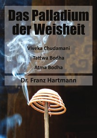 Vorderes Coverbild Das Palladium der Weisheit