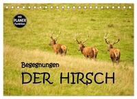 Vorderes Coverbild Begegnungen. DER HIRSCH (Tischkalender 2025 DIN A5 quer), CALVENDO Monatskalender