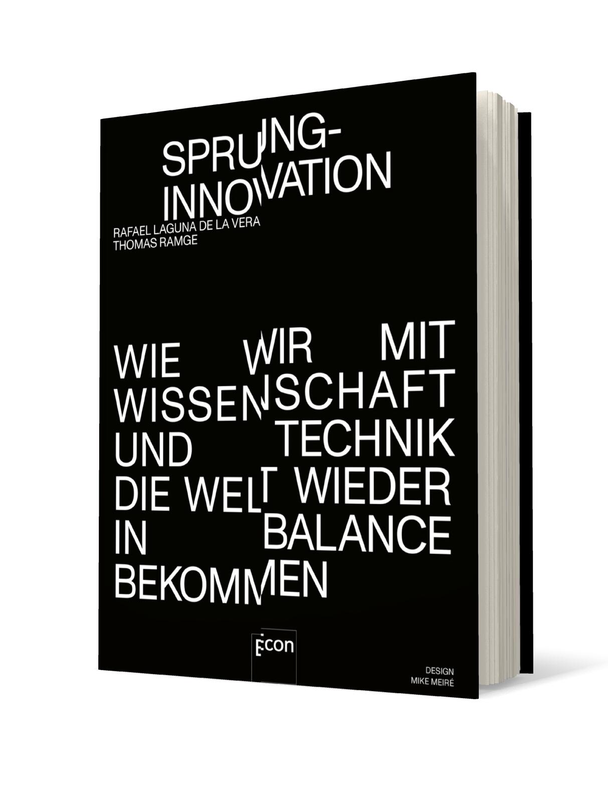 Anderes Coverbild Sprunginnovation