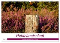 Vorderes Coverbild Heidelandschaft im Farbenspiel der Natur (Wandkalender 2025 DIN A2 quer), CALVENDO Monatskalender