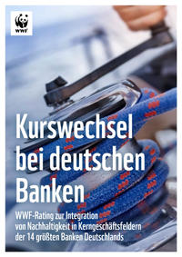 Vorderes Coverbild Kurswechsel bei deutschen Banken