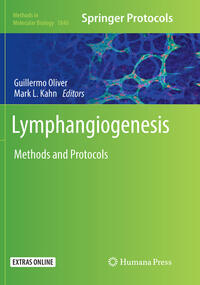 Vorderes Coverbild Lymphangiogenesis