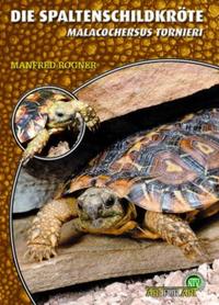 Vorderes Coverbild Die Spaltenschildkröte