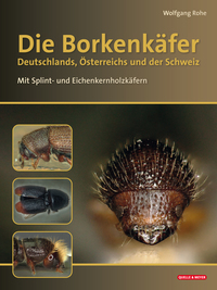Vorderes Coverbild Die Borkenkäfer Deutschlands, Österreichs und der Schweiz