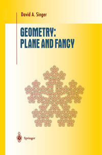 Vorderes Coverbild Geometry: Plane and Fancy