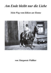 Vorderes Coverbild Am Ende bleibt nur die Liebe