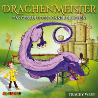 Vorderes Coverbild Drachenmeister (8)