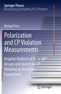 Vorderes Coverbild Polarization and CP Violation Measurements