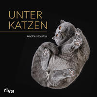 Vorderes Coverbild Unter Katzen
