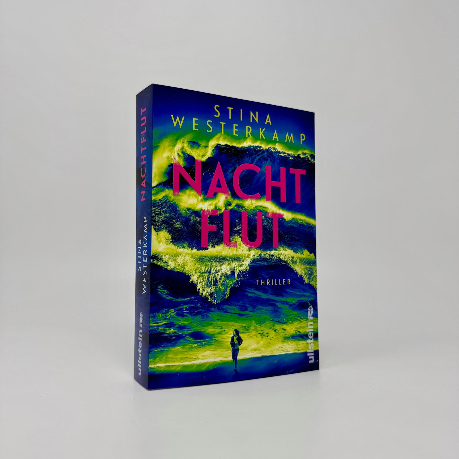 Beispielinhalt (Bild) Nachtflut