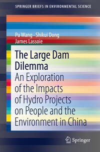 Vorderes Coverbild The Large Dam Dilemma